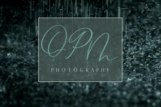 do the redesign,  fix,  trace, modify, vectorize your existing logo