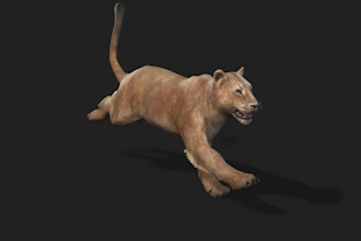 render stunning 3d animal animations and 3d animal models