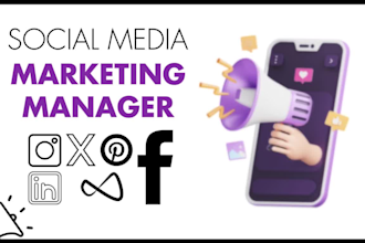 manage social media marketing including instagram and facebook ads campaign