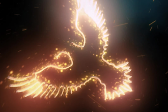do 3d rotating or 3d spining logo loop animation
