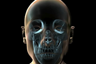 create nft character animation for your nft drops