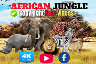 create wildlife  animals copyright free videos for youtube