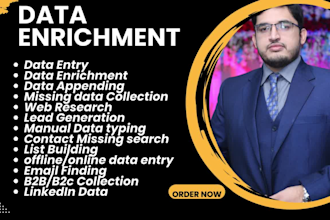 do data entry, data appending, data enrichment and missing data collection