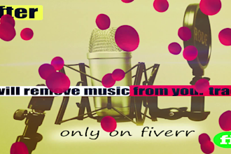 a karaoke track or video by removing vocals from any song