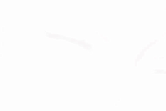 2d character animation, japanese anime style, animated short film