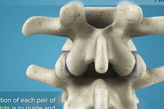 do 3d medical animation 3d spine animation scientific anatomy animation video