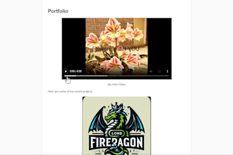make a custom webapp or website