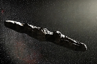 edit business promo videos with branding, music, and effects