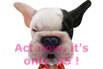 be Bruce, the dog, your Animal Spokesperson