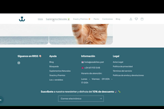 create a stunning shopify website for your business