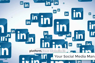 be your social media manager and digital content creator