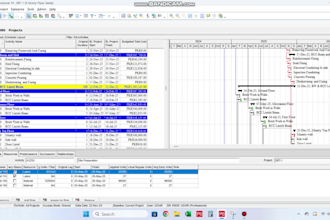 provide project management and schedule with primavera p6