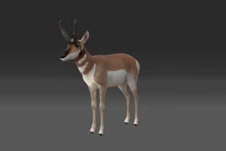 create realistic 3d animal model, 3d cgi animal animation, compositing animal