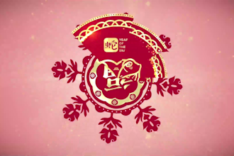 make chinese new year 2025 video in 12 hours