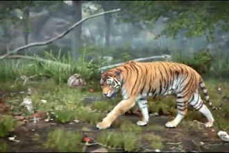 do realistic cgi 3d animal animation, cgi animal model, rig, vfx animal for film