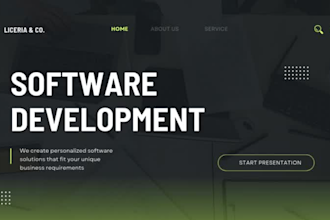 be front end developer, react, next js front end web developer, API integration