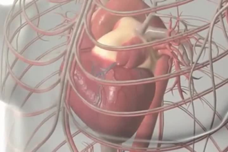 3d medical animation video 3d anatomy 3d scientific animation, 3d surgery video