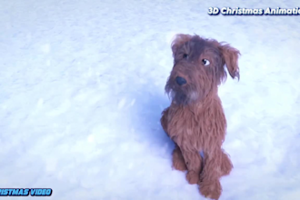 do 3d christmas character, 3d christmas animation, christmas video 3d kids video