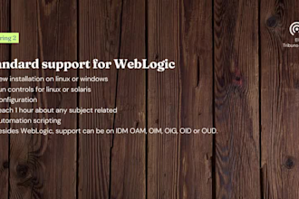 weblogic wizardry teach, troubleshoot or support