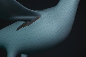 create cgi bird model, 3d realistic animation, 3d rigging, vfx compositing
