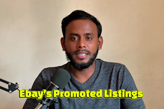 create and optimize ebay stores for maximum revenue