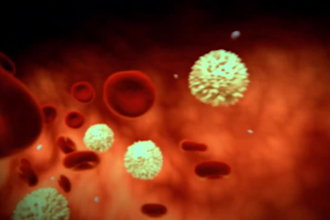 make 2d 3d medical animated video and motion graphics video