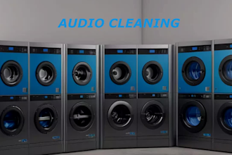 professionally clean and repair your audio