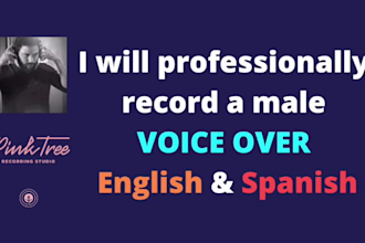 record a pro male broadcaster voice over
