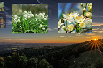 create a photo or video slideshow in full HD