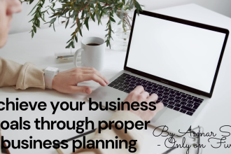 prepare professional business plans, financials, cash flows