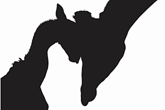 draw an outstanding vector silhouette illustration of any image or photo
