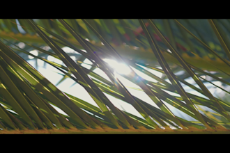 film your wedding and create a documentary style edit