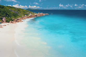create relaxing natural music video for you