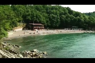 professionally edit your youtube shorts, vlogs, and travel videos