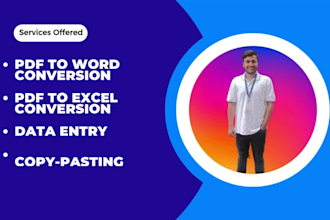 convert pdf to word, pdf to excel or data entry in 24 hours