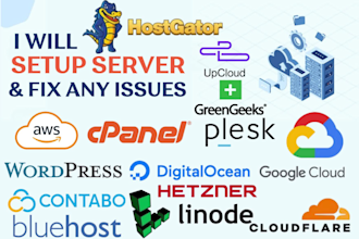 setup web hosting on hostinger, bluehost, siteground, hostgator, and godaddy