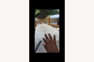 create authentic home and lifestyle ugc videos