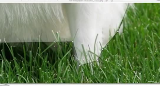 do image annotation,segmentation and data labeling for ai