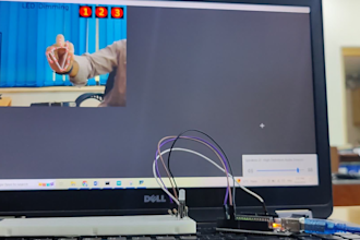 coding arduino, esp8266, rasberry pi, openmv and python programming