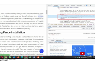provide guest post service