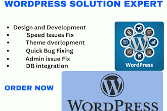 do wordpress issue and solutions for ecommerce website