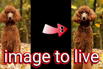 turn your image to animate or moving vedio