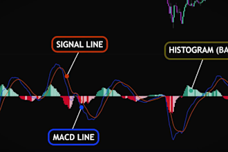 create an expert level forex and crypto trading course