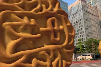 vfx animation 3d cgi animation 3d cgi product animation 3d biscuits animation