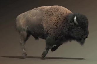 3d animal model animal design creature xgen  fur model for printing blender