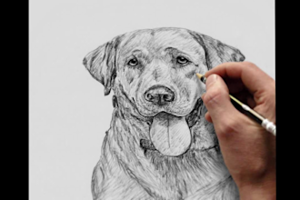 draw portrait of your pet