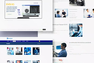 create a professional wordpress site