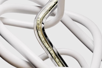 create cinematic perfume animation, 3d animation, and 3d product animation ads