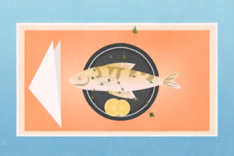 create a professional explainer video for your business