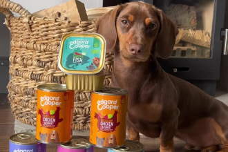 create a dog ugc video for your pet products or brand